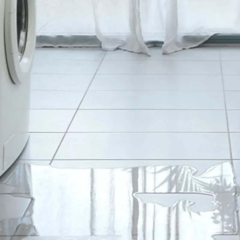 Appliance Leak Cleanup in Wyoming County, NY