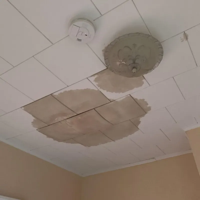 Ceiling Water Damage Repair in Wyoming County, NY