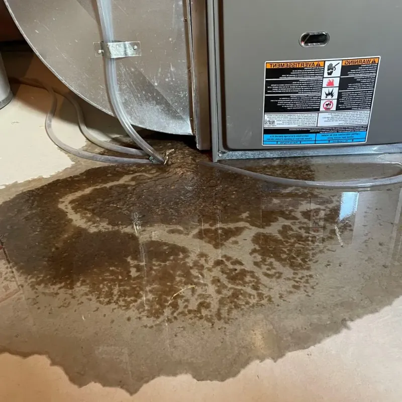 Pipe Burst and Leak Restoration in Wyoming County, NY