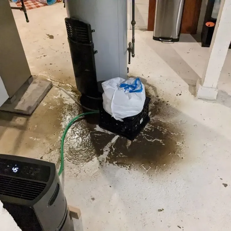 Sewage Backup Cleanup Service in Wyoming County, NY